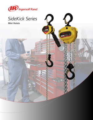 irits1113135sidekickflyerpdf